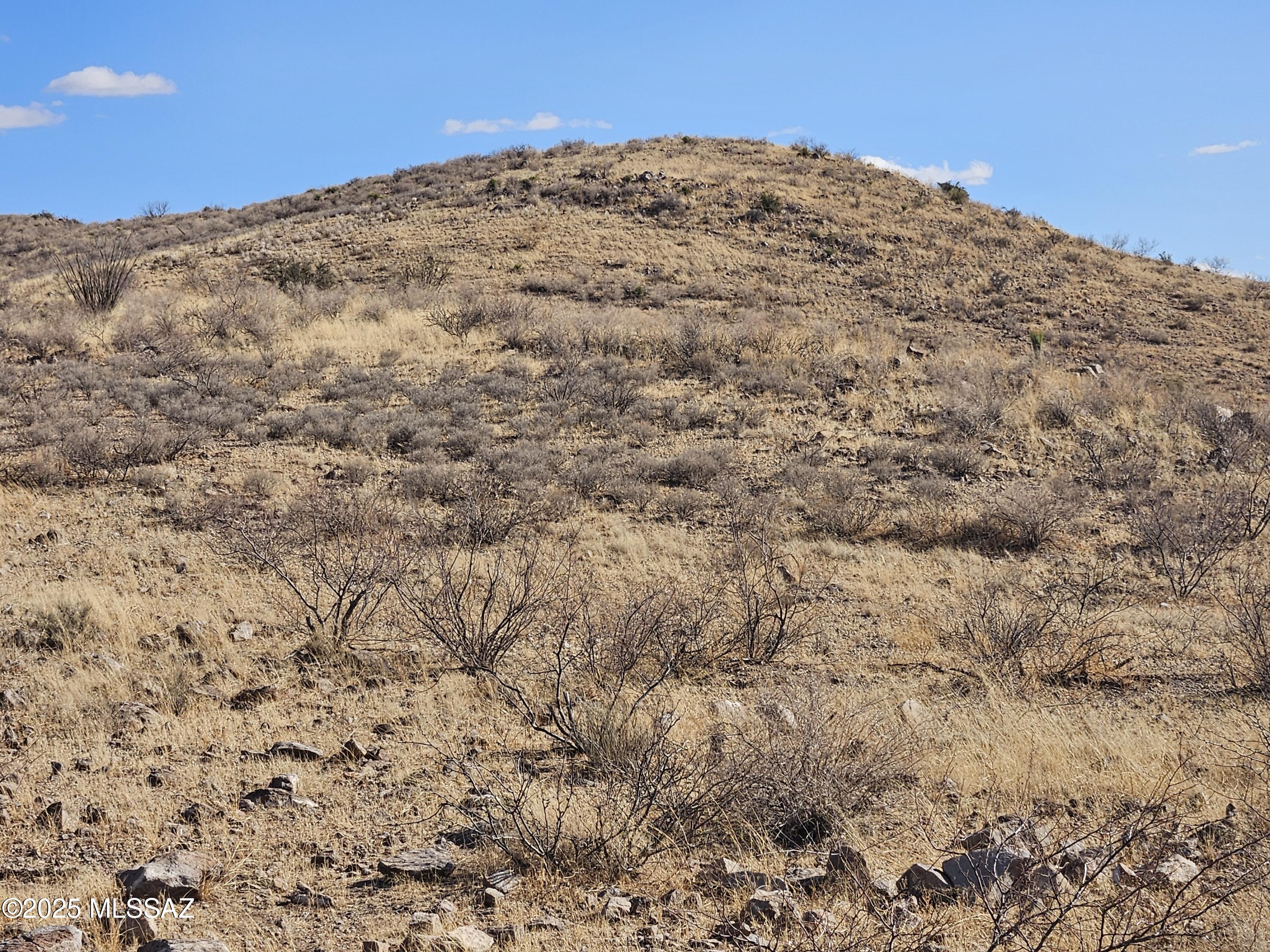 40-acres East Indian Ridge Road Willcox, AZ 85643 - Photo 9 of 10 20250117_145321