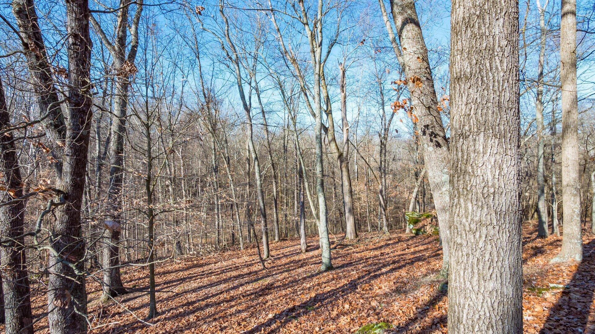 18988 Claypool Road Nashport, OH 43830 - Photo 43 of 50 Views 1