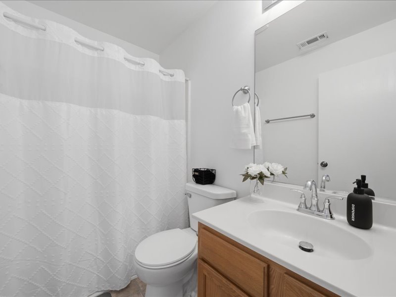 4201 Dillon Street Plano, IL 60545 - Photo 30 of 37 a bathroom with a sink and a toilet