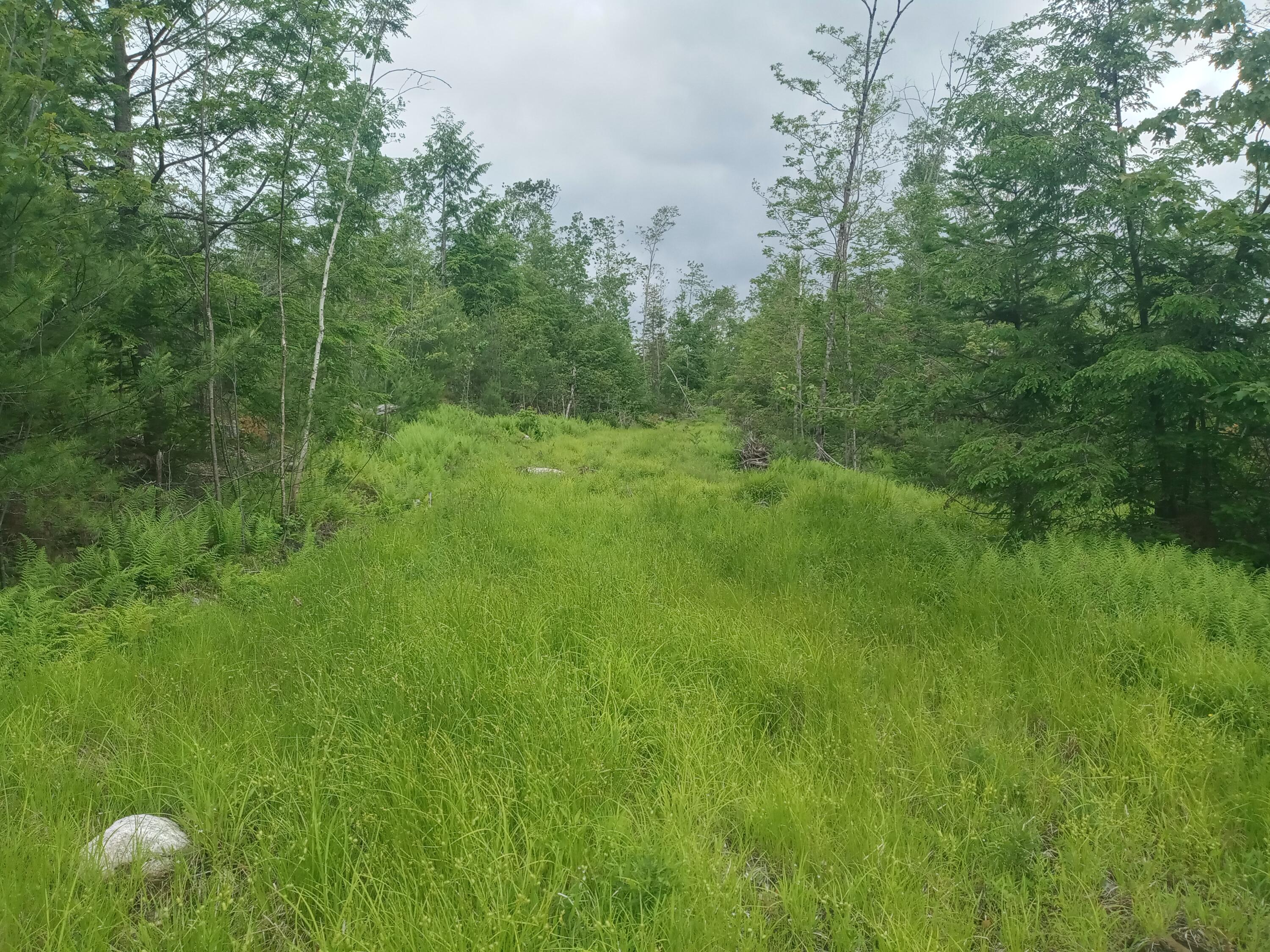 848 Old Stage Road Woolwich, ME 04579 - Photo 11 of 14 20260620_114505_HDR (1)