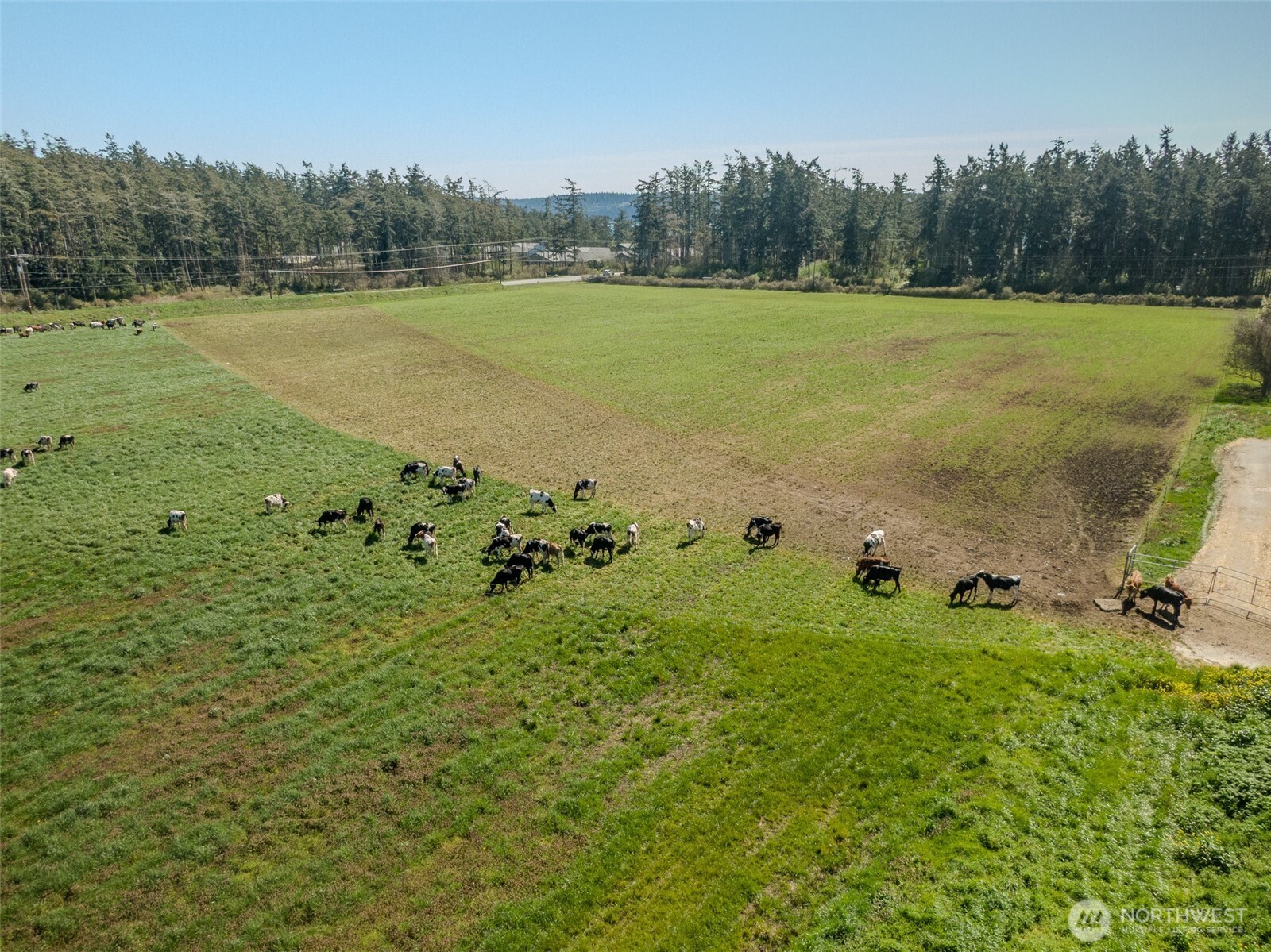 1240 Arnold Road Oak Harbor, WA 98277 - Photo 38 of 38 Gallery Image 38