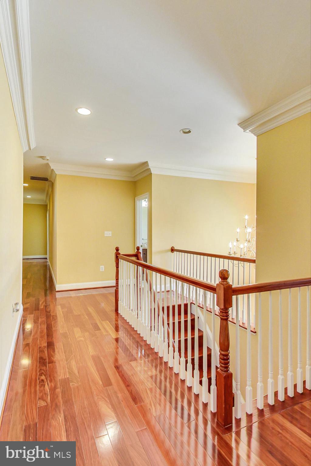 7829 Schelhorn Road Alexandria, VA 22306 - Photo 27 of 62 Gallery Image 27