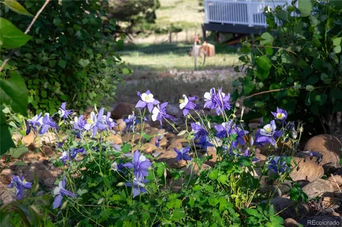 $1,550,000 | 34274 Wolf Creek Trail, Kiowa, CO 80117