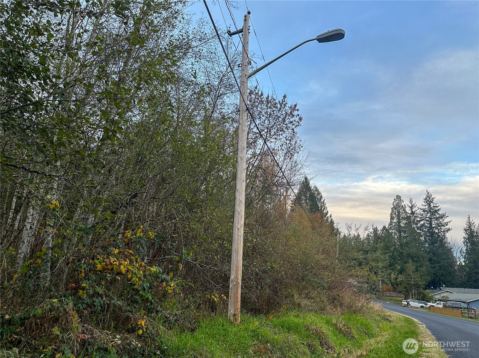 7609 Lakeside Street Southwest Olympia, WA 98512 - Photo 11 of 15 a view of a yard along with trees