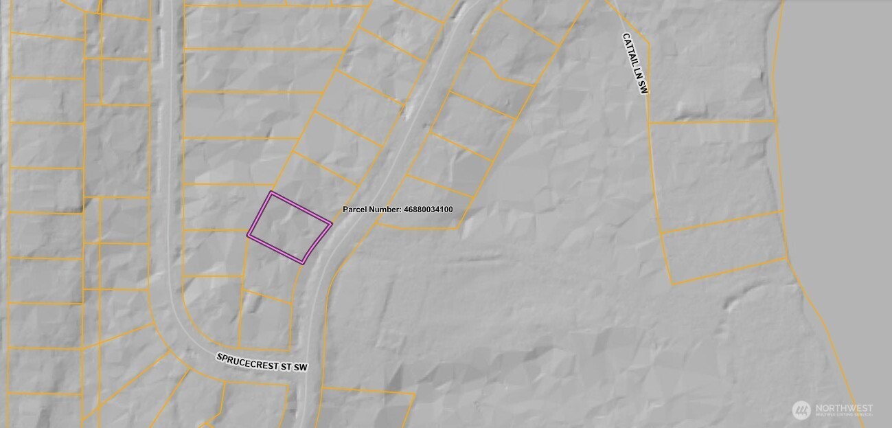 7609 Lakeside Street Southwest Olympia, WA 98512 - Photo 14 of 15 a bathroom with a shower curtain