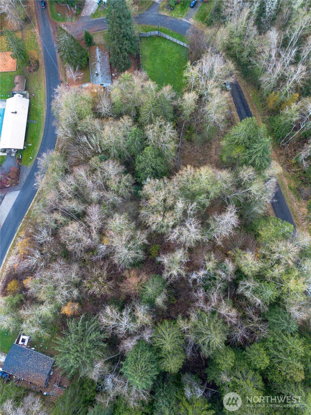 7609 Lakeside Street Southwest Olympia, WA 98512 - Photo 3 of 15 a view of a forest with a house