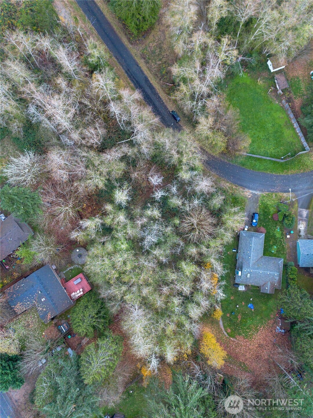 7609 Lakeside Street Southwest Olympia, WA 98512 - Photo 4 of 15 a backyard of a house with yard and tree