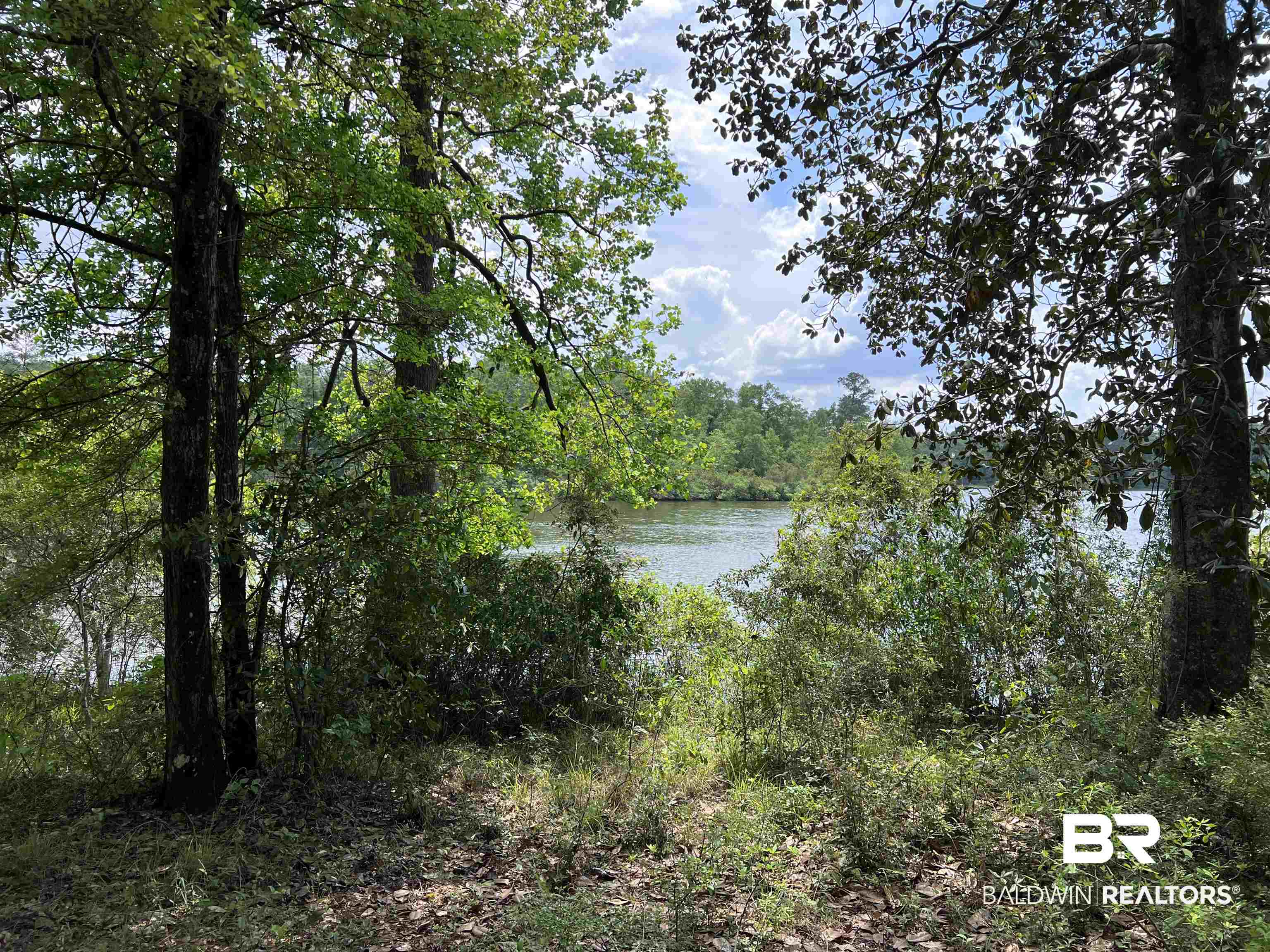 5100 Wiggins Lake Road Walnut Hill, FL 32568 - Photo 11 of 41