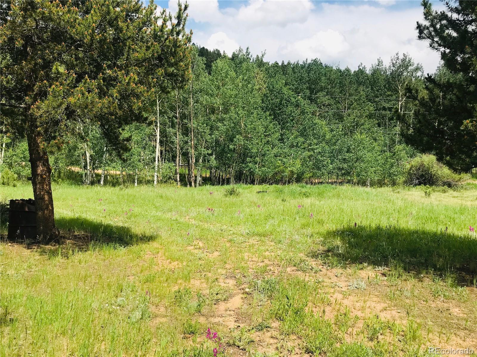538 Neal Road Bailey, CO 80421 - Photo 11 of 20 a view of a garden with a bench