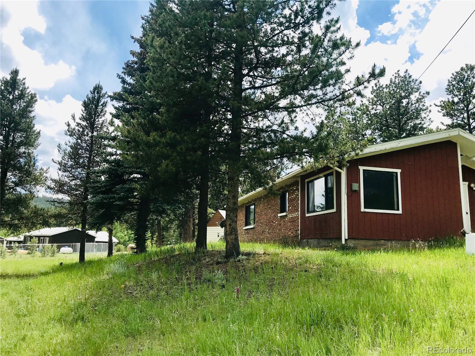 538 Neal Road Bailey, CO 80421 - Photo 3 of 20 a backyard of a house with plants and large tree