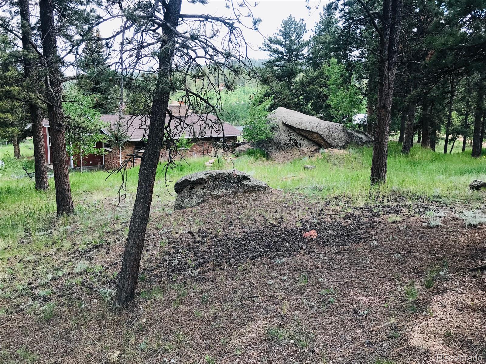 538 Neal Road Bailey, CO 80421 - Photo 4 of 20 a view of a park