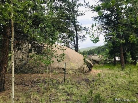 538 Neal Road Bailey, CO 80421 - Photo 5 of 20 a view of a yard with large trees