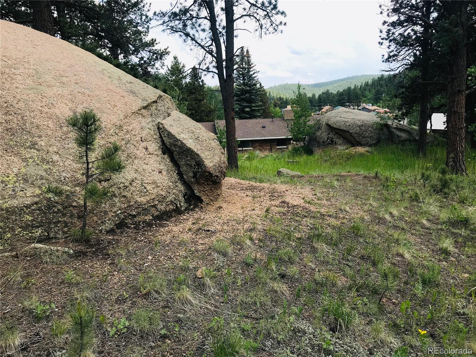 538 Neal Road Bailey, CO 80421 - Photo 6 of 20 a view of a backyard with a garden