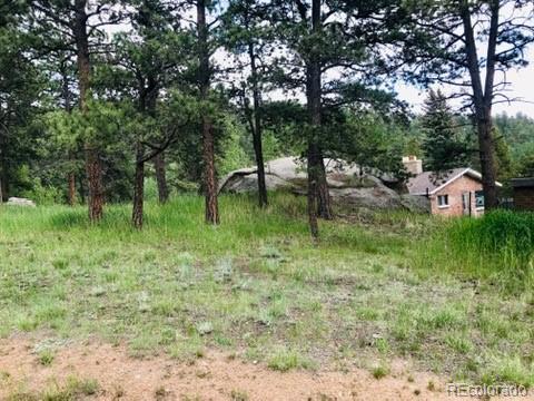 538 Neal Road Bailey, CO 80421 - Photo 7 of 20 a backyard of a house with lots of green space