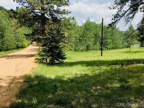 538 Neal Road Bailey, CO 80421 - Photo 8 of 20 a view of a lake with a yard