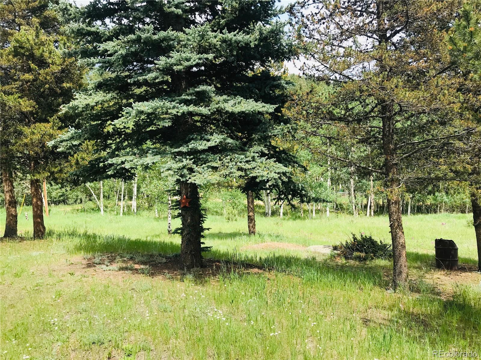 538 Neal Road Bailey, CO 80421 - Photo 9 of 20 a view of a garden