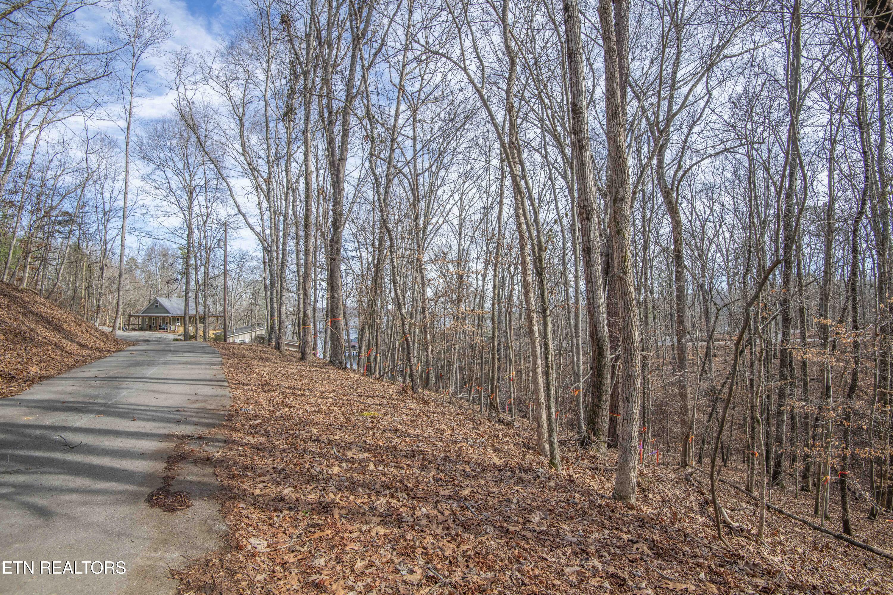 0 Sunset Court Spring City, TN 37381 - Photo 1 of 27 ground 8_1