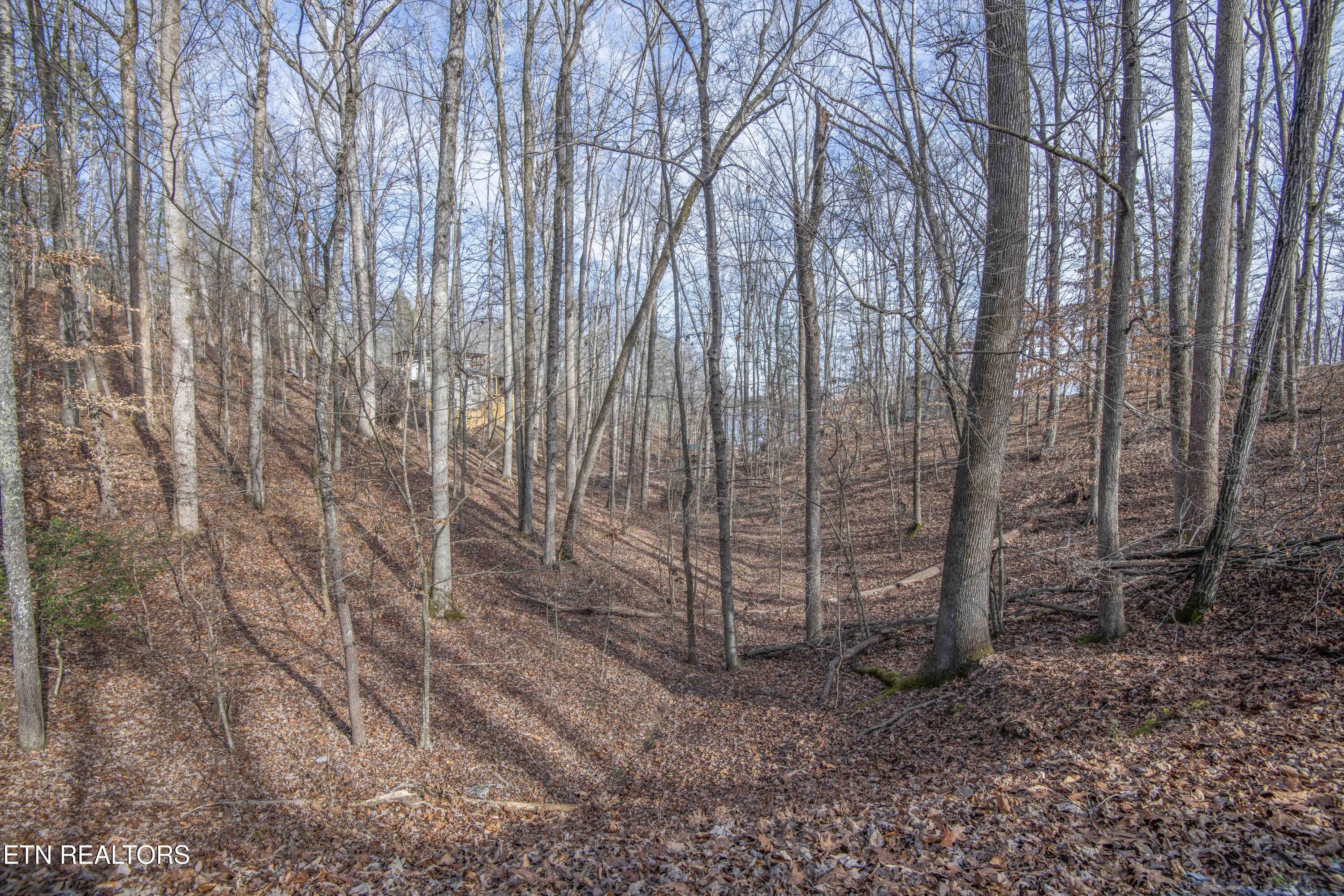 0 Sunset Court Spring City, TN 37381 - Photo 11 of 27 ground 14_1