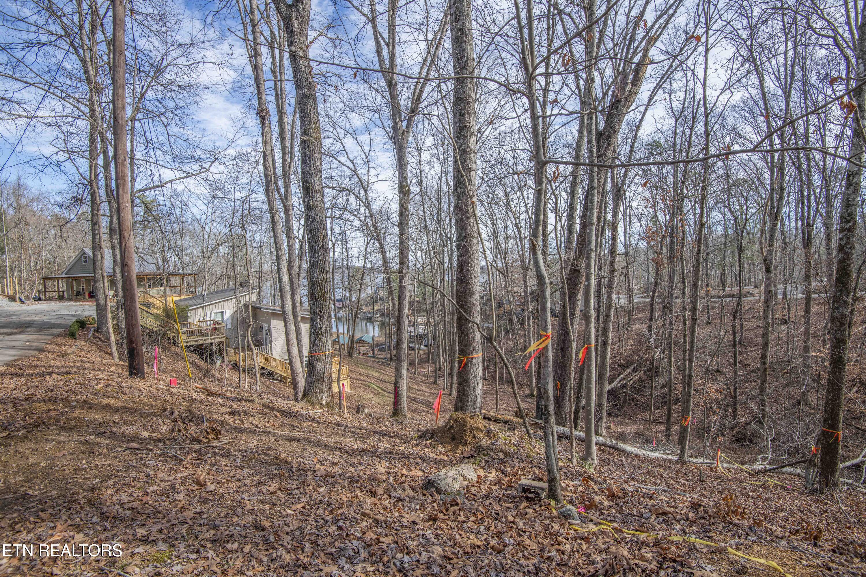 0 Sunset Court Spring City, TN 37381 - Photo 14 of 27 ground 6_1