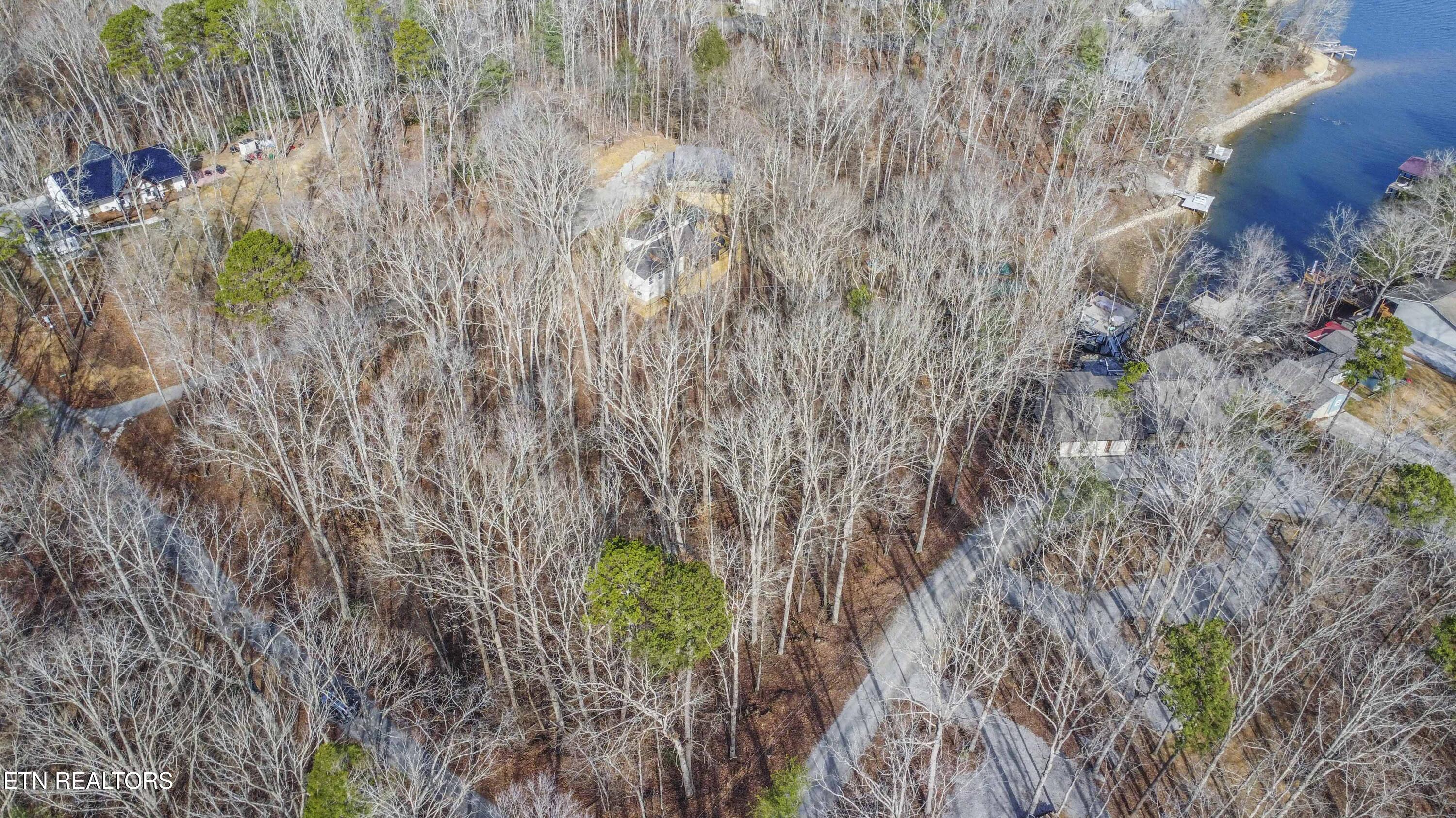 0 Sunset Court Spring City, TN 37381 - Photo 18 of 27 drone 14_1