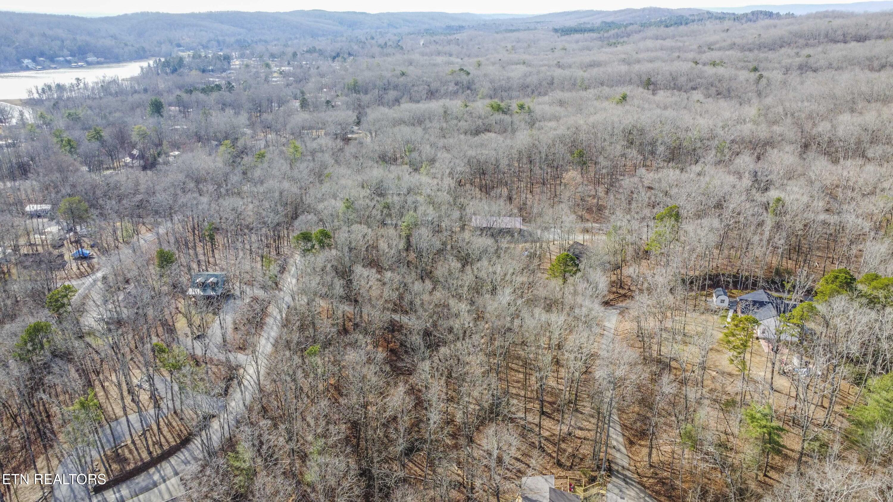 0 Sunset Court Spring City, TN 37381 - Photo 25 of 27 drone 6_1