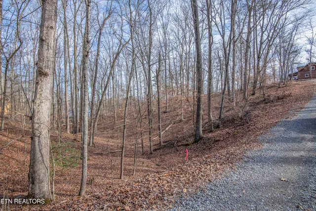 $85,000 | 0 Sunset Court, Spring City, TN 37381