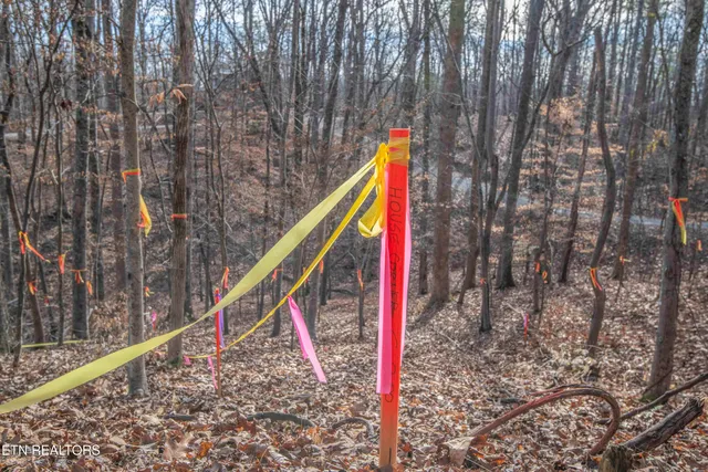 $85,000 | 0 Sunset Court, Spring City, TN 37381