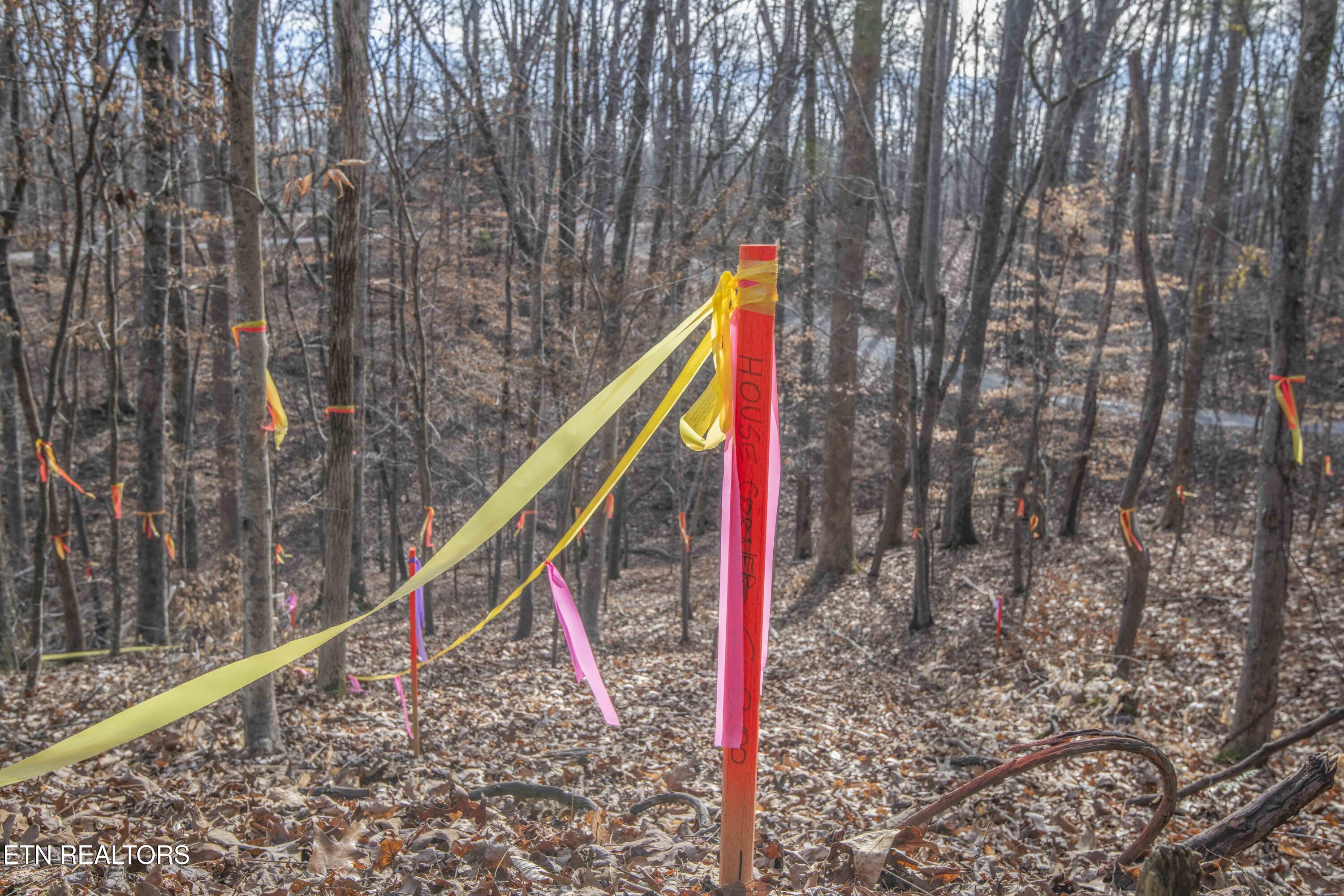 0 Sunset Court Spring City, TN 37381 - Photo 4 of 27 ground_1