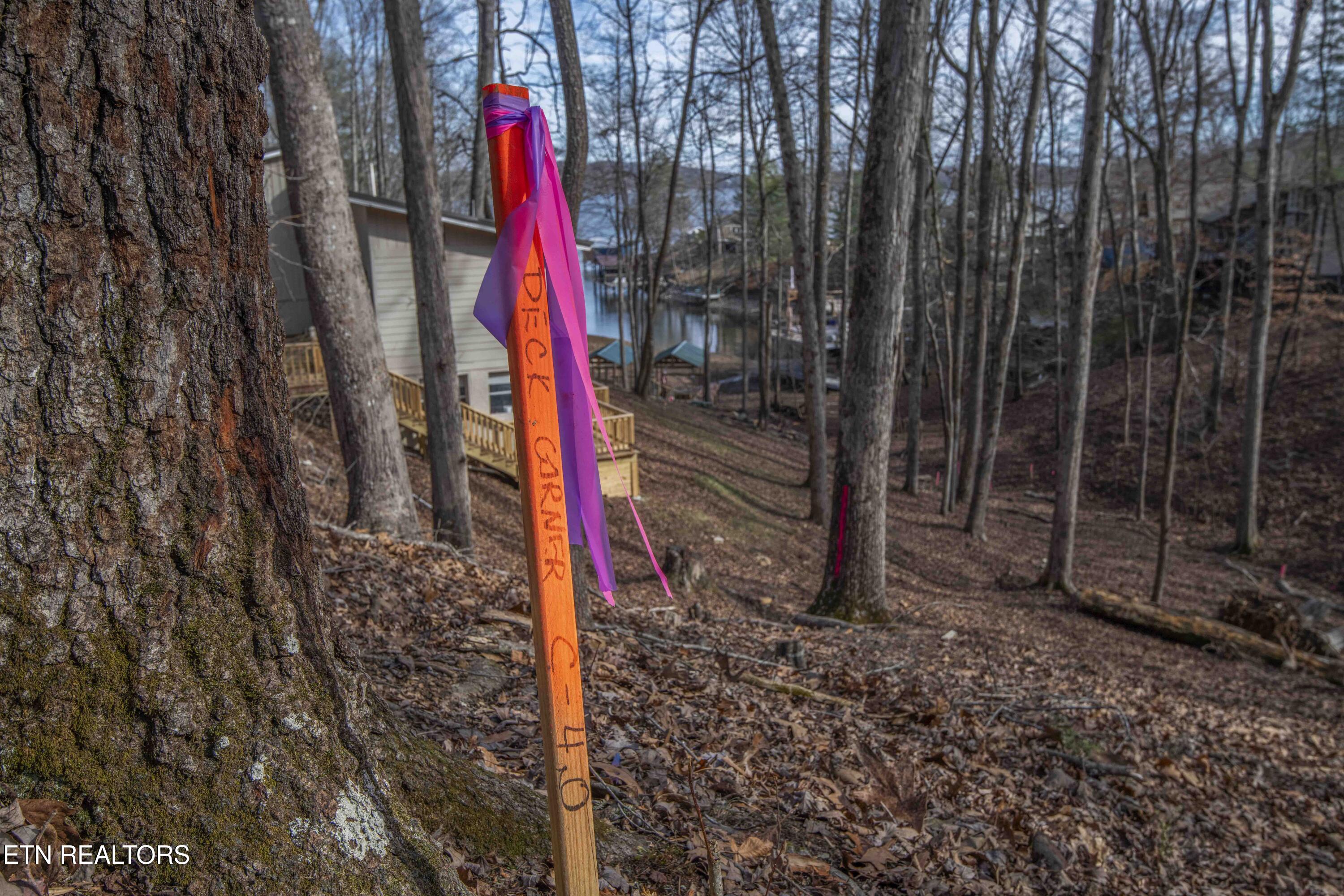 0 Sunset Court Spring City, TN 37381 - Photo 6 of 27 ground 5_1