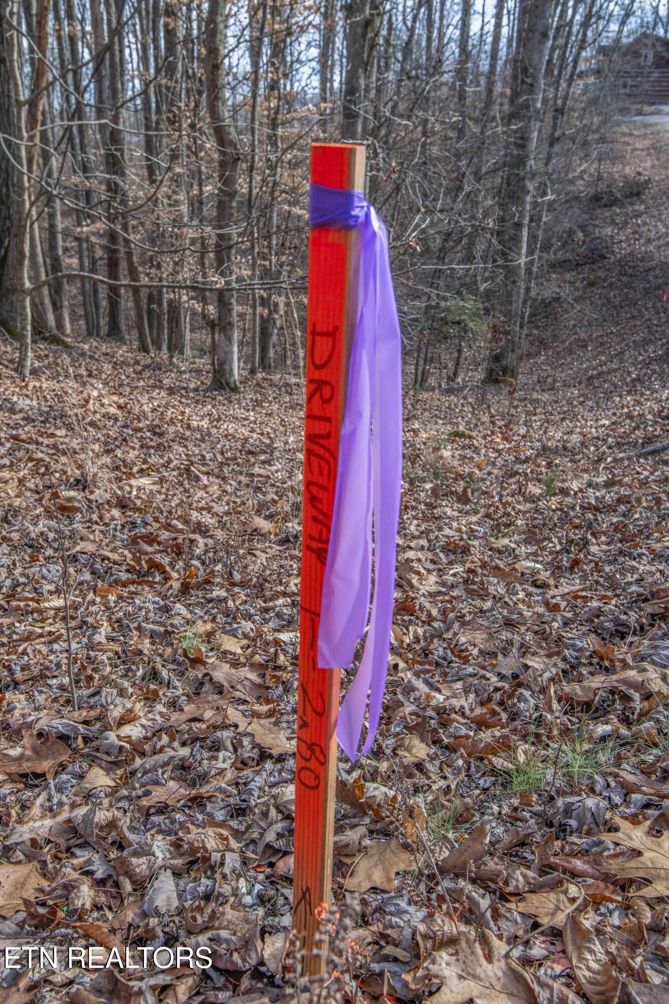 0 Sunset Court Spring City, TN 37381 - Photo 7 of 27 ground 0_1