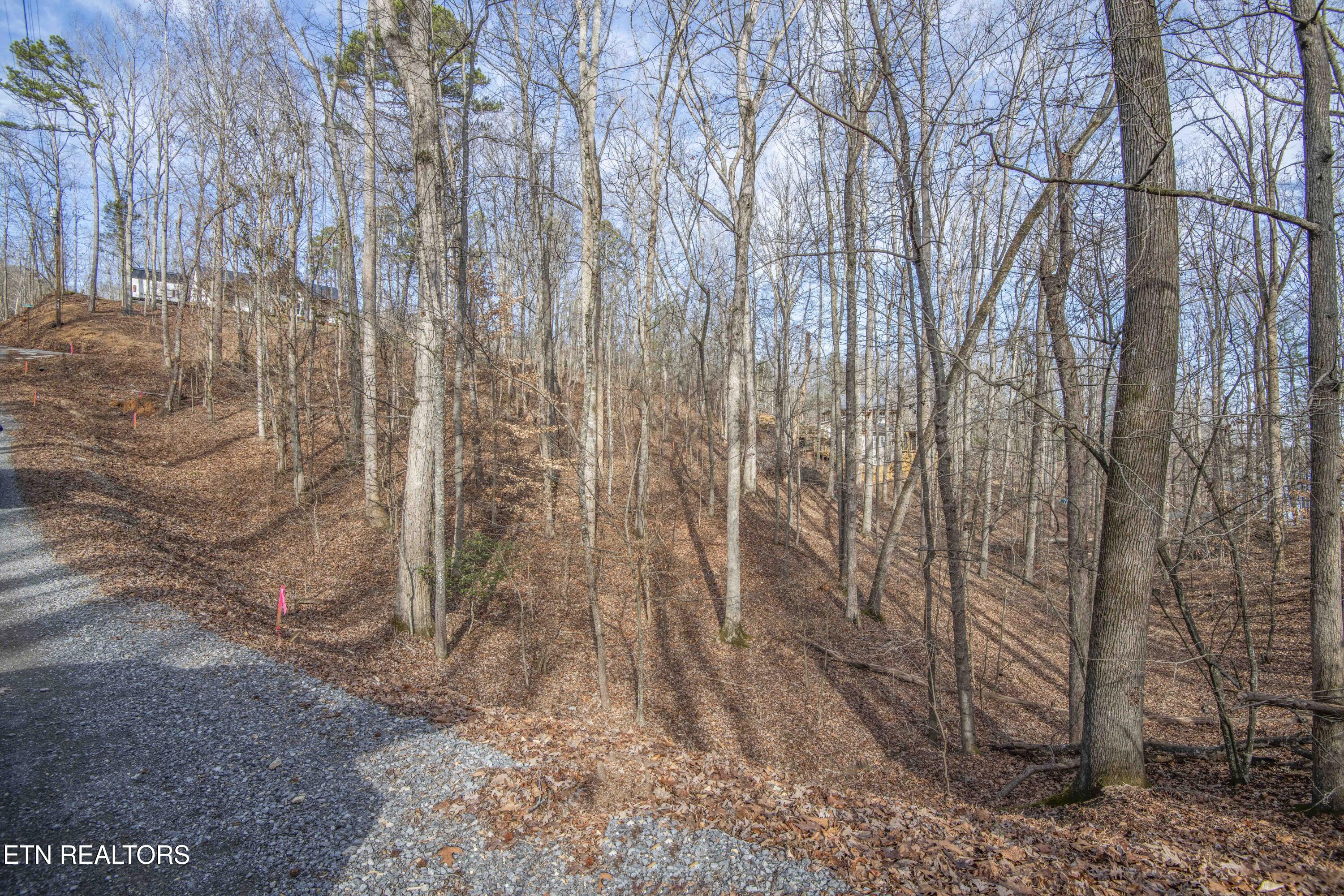 0 Sunset Court Spring City, TN 37381 - Photo 10 of 27 ground 15_1