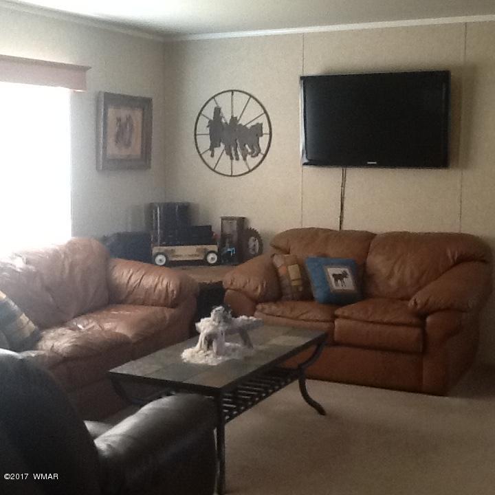 3934 South Freeman Holw Road Snowflake, AZ 85937 - Photo 3 of 12