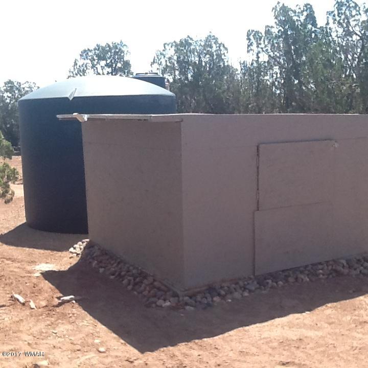3934 South Freeman Holw Road Snowflake, AZ 85937 - Photo 8 of 12