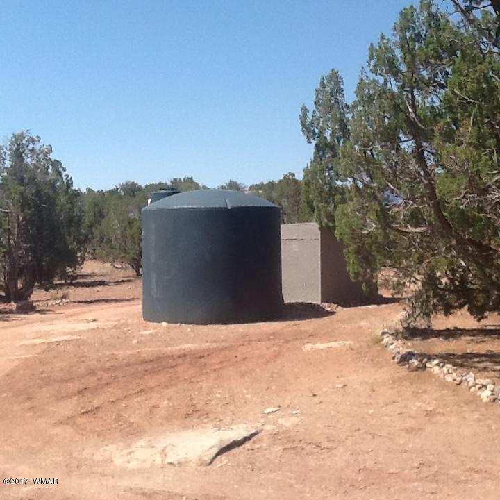 3934 South Freeman Holw Road Snowflake, AZ 85937 - Photo 9 of 12