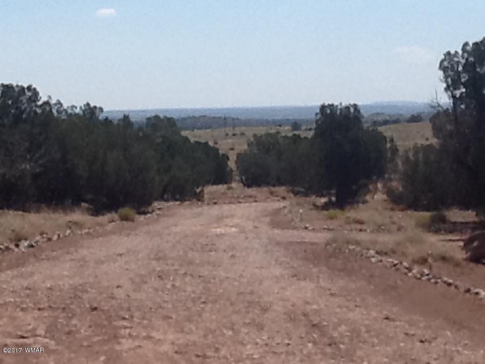 3934 South Freeman Holw Road Snowflake, AZ 85937 - Photo 10 of 12
