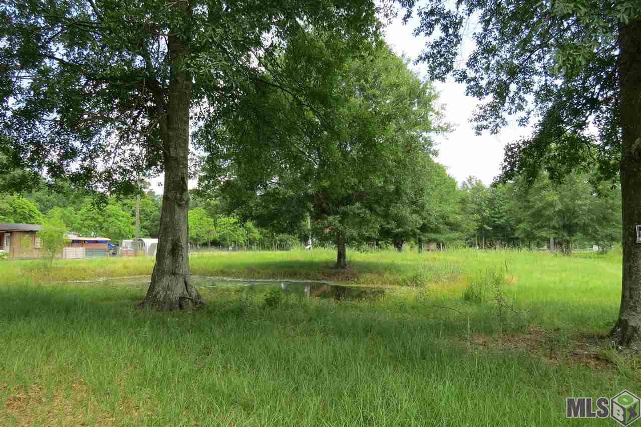 17413 J B Averett Road Livingston, LA 70754 - Photo 1 of 2 Gallery Image 1