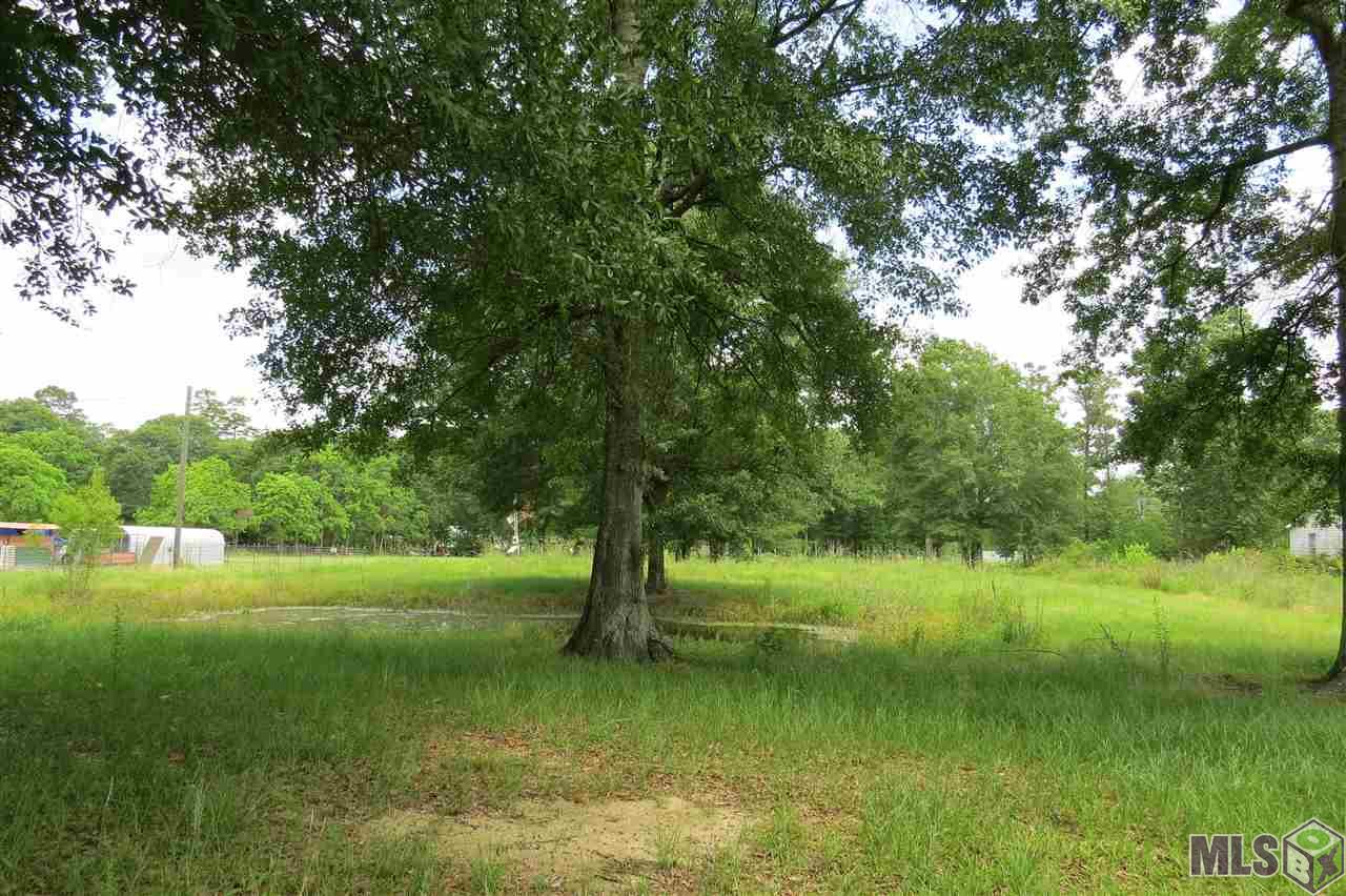 17413 J B Averett Road Livingston, LA 70754 - Photo 2 of 2 Gallery Image 2