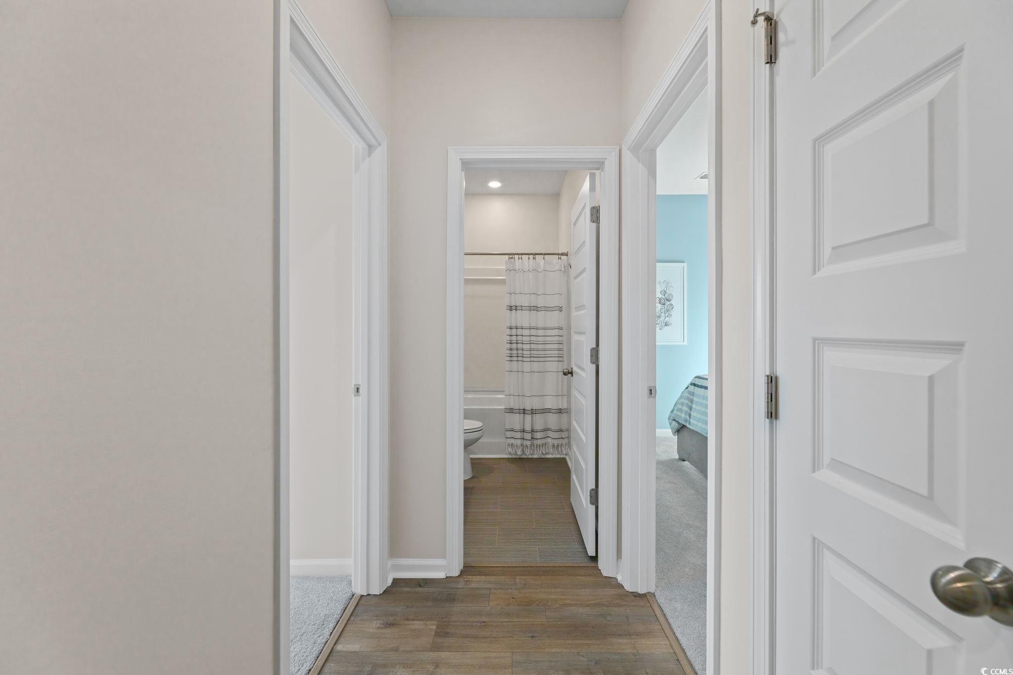 417 Blue Fescue Court Longs, SC 29568 - Photo 4 of 16