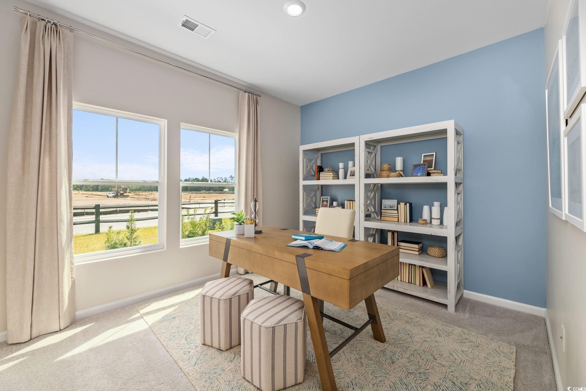 417 Blue Fescue Court Longs, SC 29568 - Photo 9 of 16