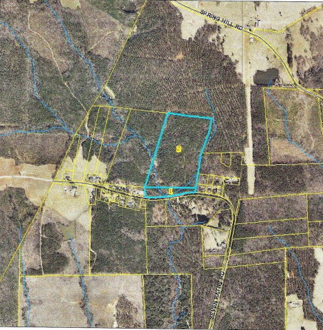 0 Seven Paths Road Spring Spring Spring Hope, NC 27882 - Photo 3 of 4 Additional Photo