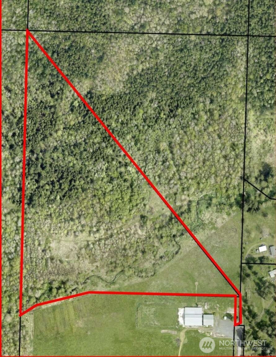 233 Allison Road Ethel, WA 98542 - Photo 4 of 5
