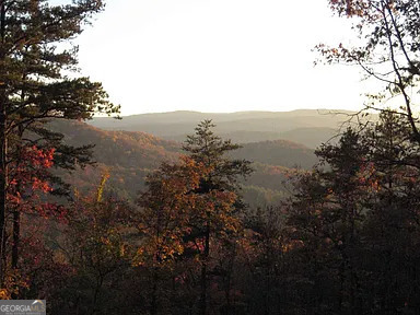 Lot 35 Spring Camp Road Ellijay, GA 30536 - Photo 2 of 34