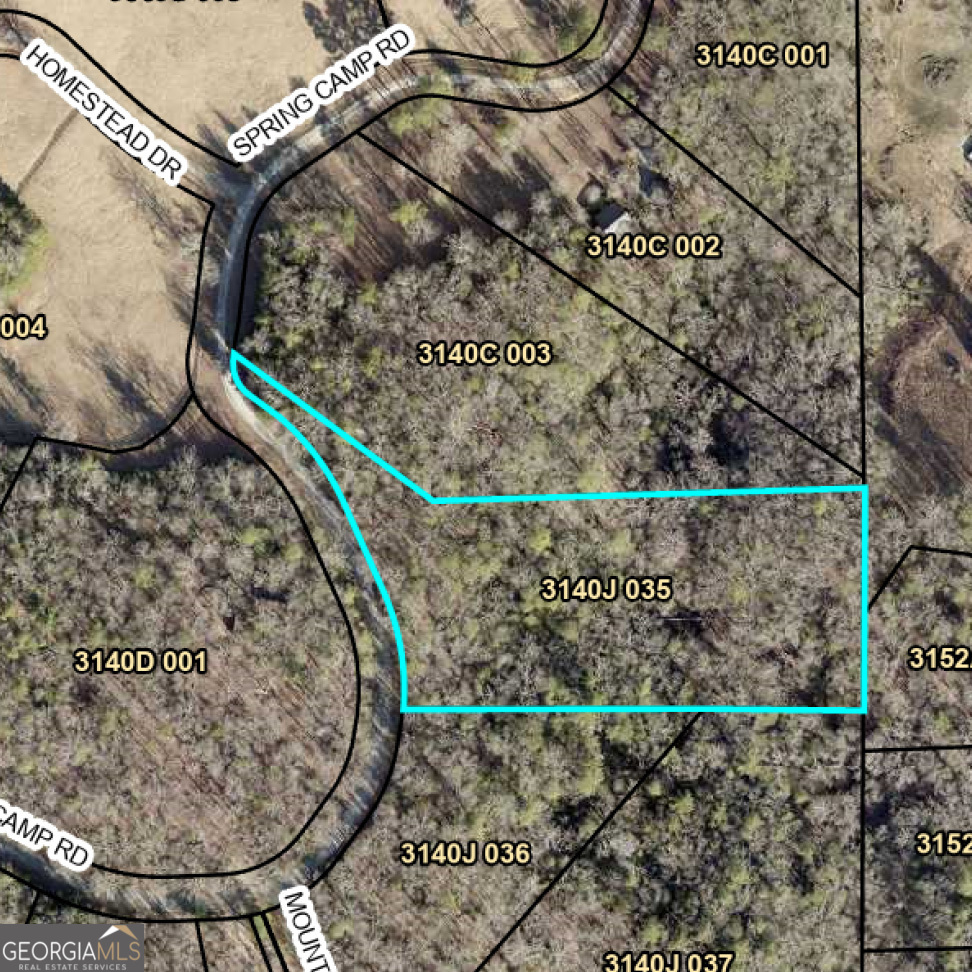 Lot 35 Spring Camp Road Ellijay, GA 30536 - Photo 22 of 34