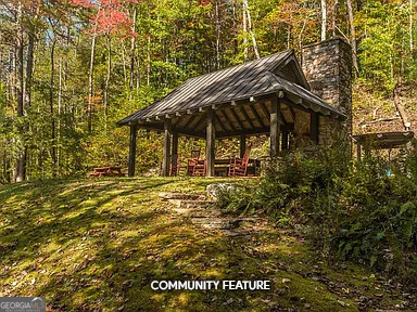 Lot 35 Spring Camp Road Ellijay, GA 30536 - Photo 23 of 34