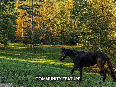 Lot 35 Spring Camp Road Ellijay, GA 30536 - Photo 25 of 34