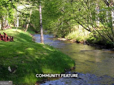 Lot 35 Spring Camp Road Ellijay, GA 30536 - Photo 28 of 34