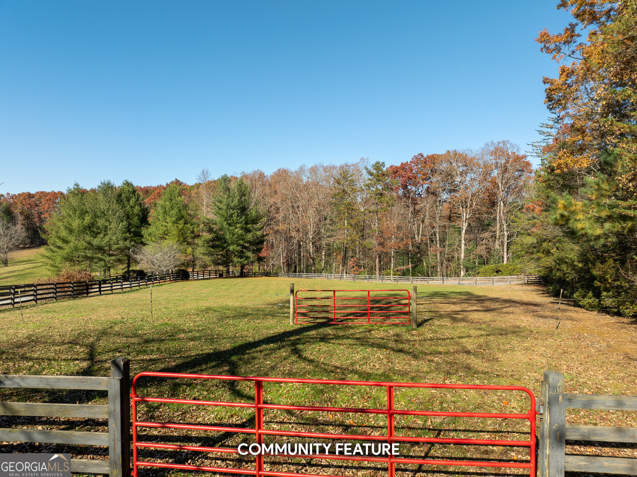 Lot 35 Spring Camp Road Ellijay, GA 30536 - Photo 34 of 34