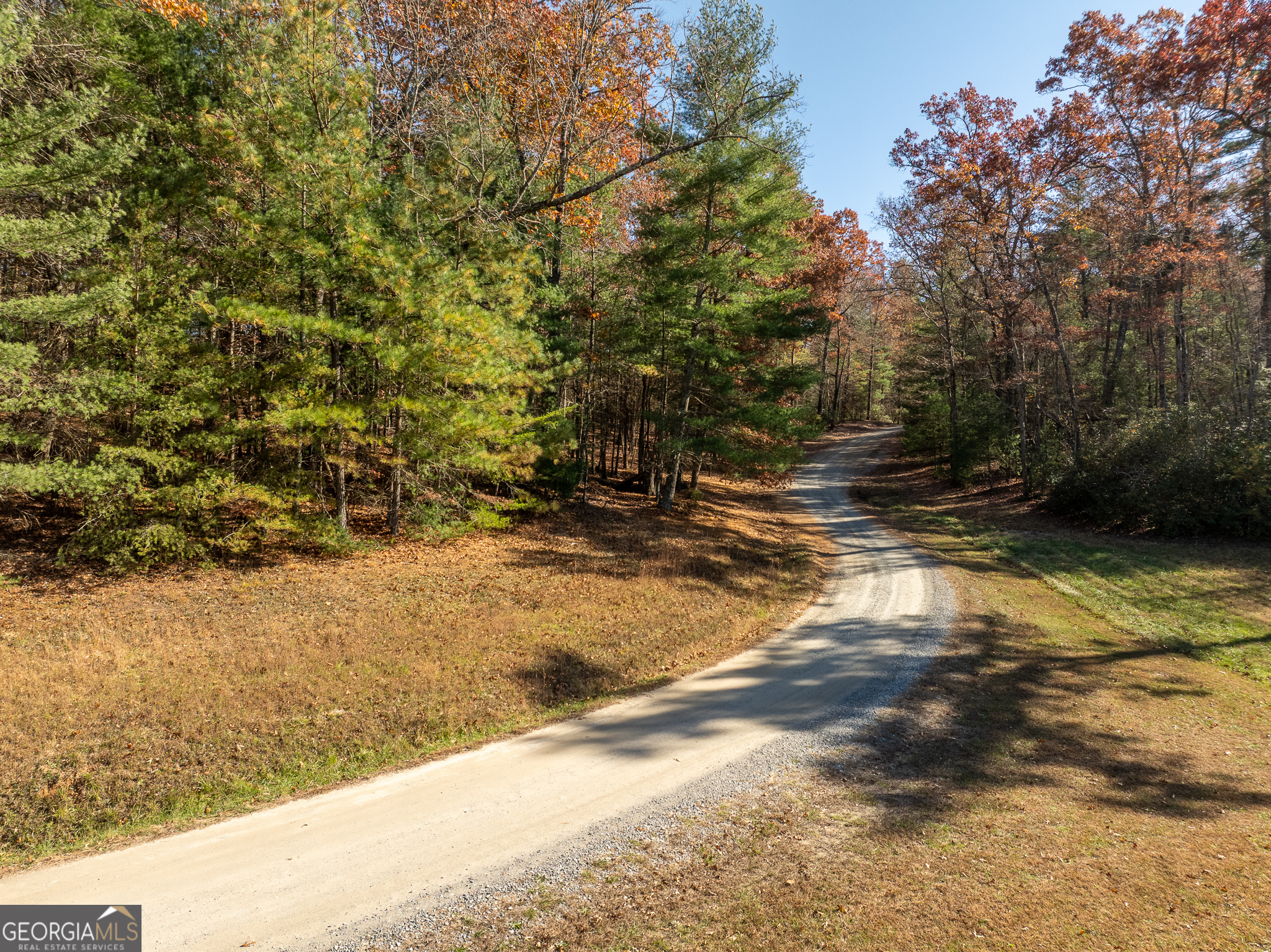 Lot 35 Spring Camp Road Ellijay, GA 30536 - Photo 6 of 34