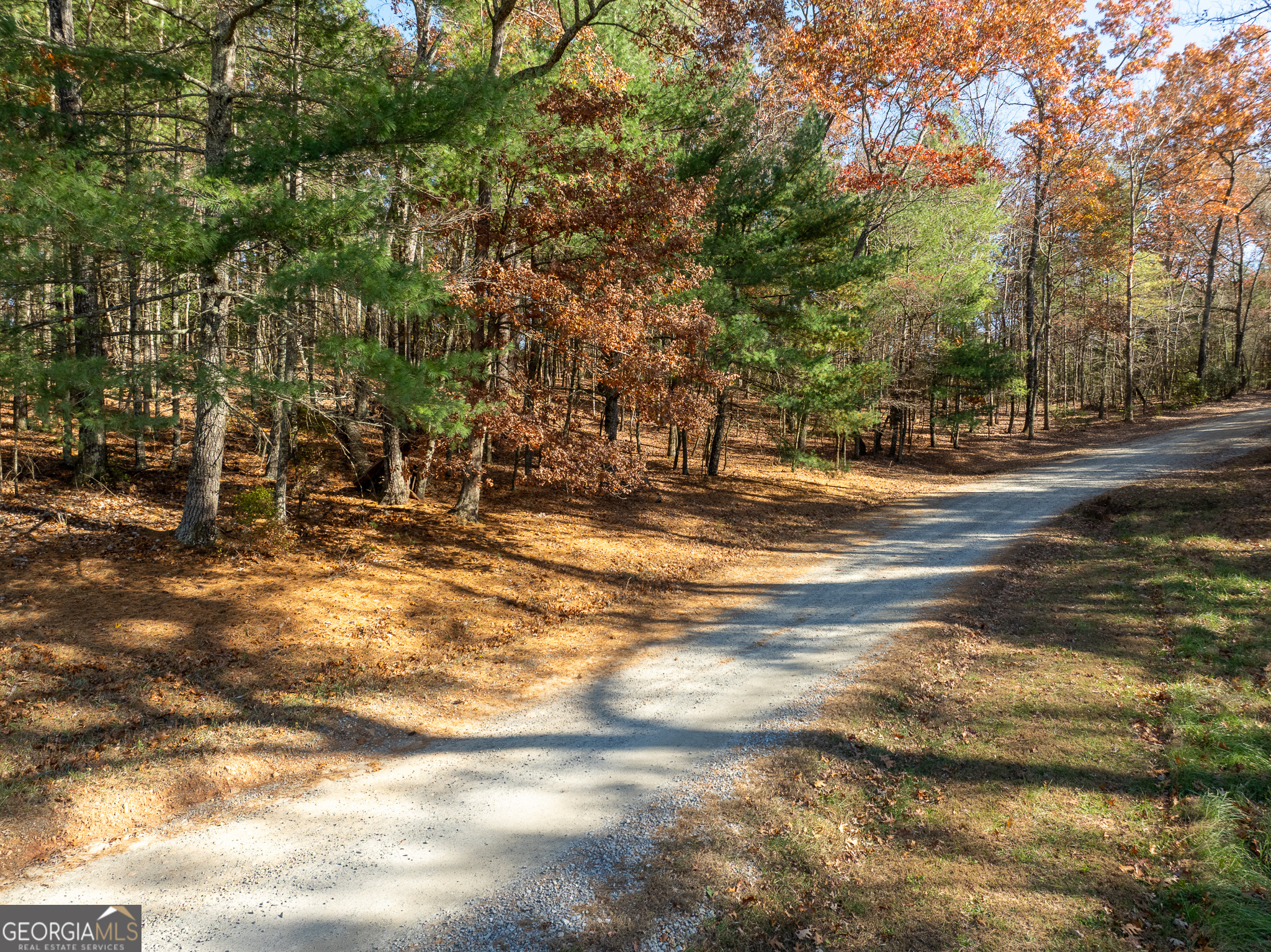 Lot 35 Spring Camp Road Ellijay, GA 30536 - Photo 7 of 34