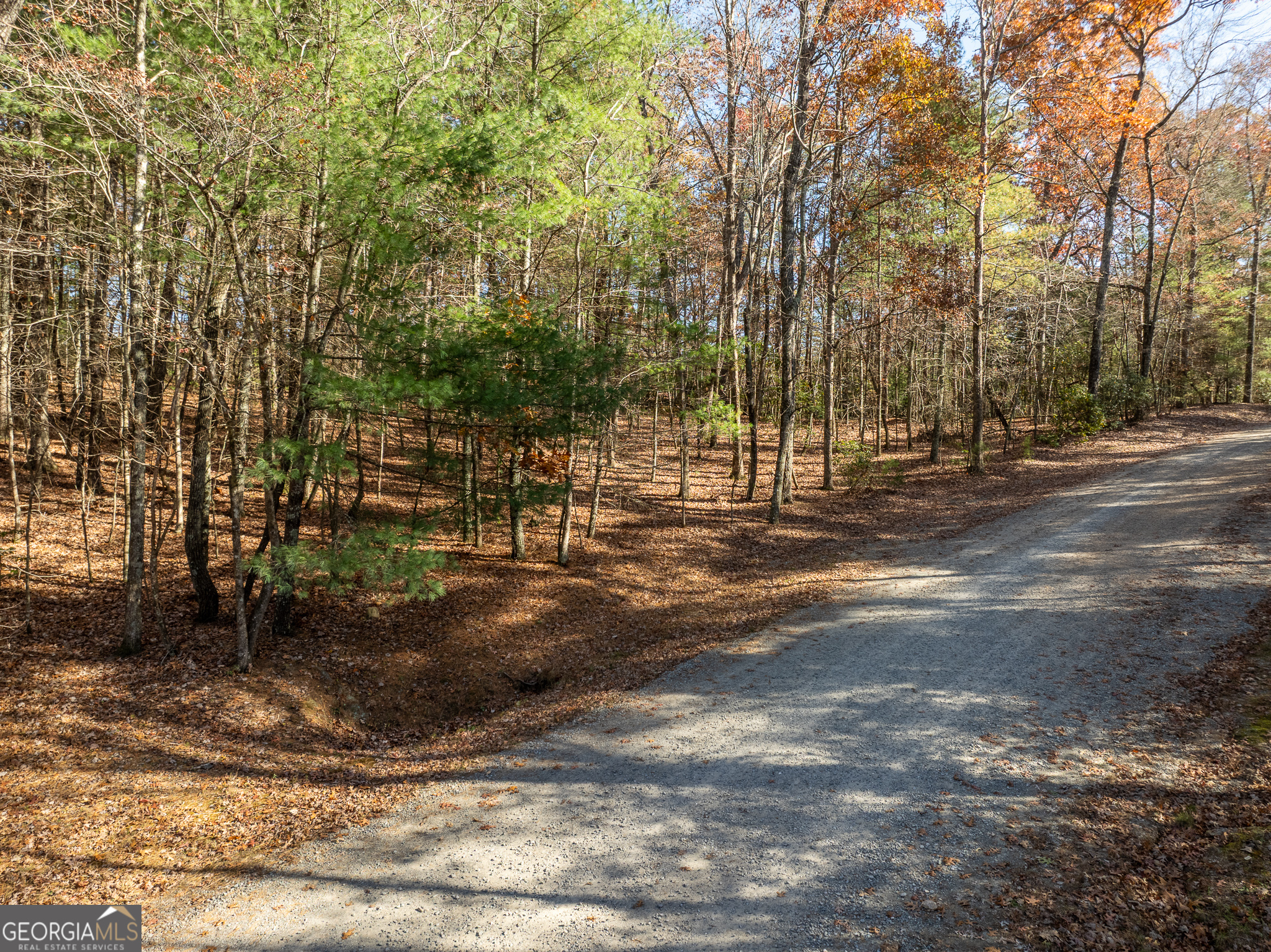 Lot 35 Spring Camp Road Ellijay, GA 30536 - Photo 8 of 34